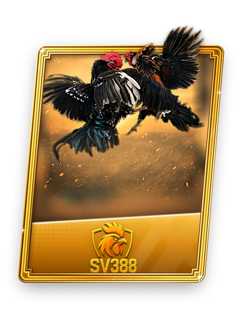 CQ9 COCKFIGHT